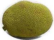 jackfruit