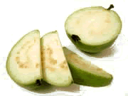 openguava