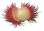 rambutan