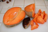 sapote