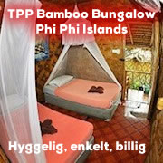 TPPBambooBungalow